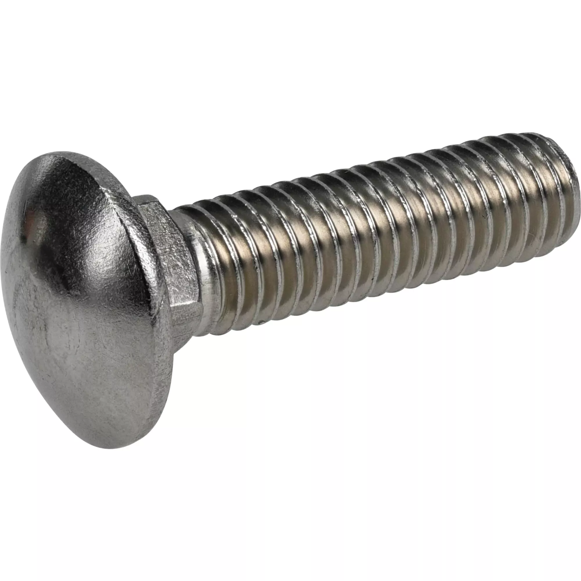 0.375 In. X 1-1/2 In. L Stainless Steel Carriage Bolt 25 Pk