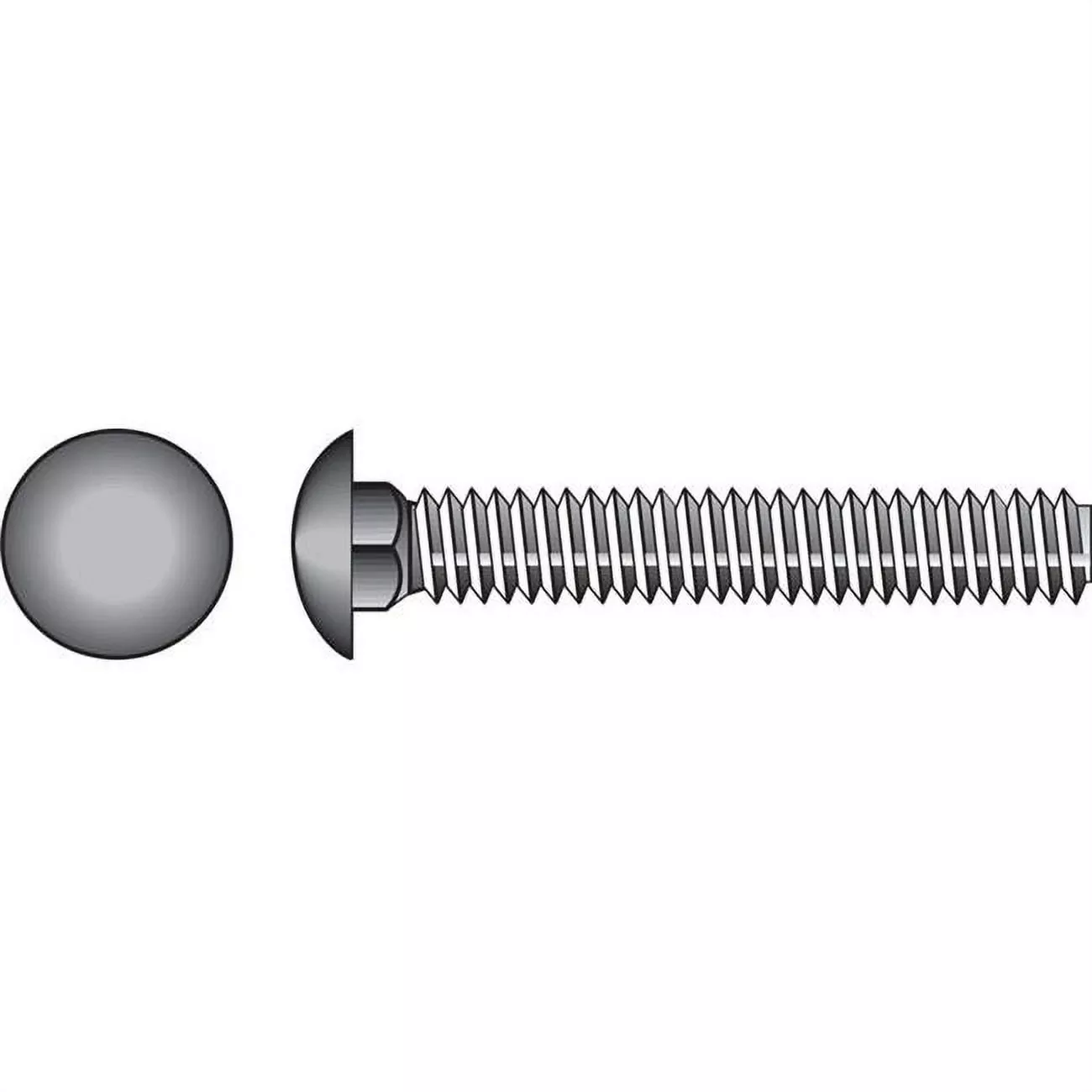0.375 In. X 3 In. L Stainless Steel Carriage Bolt 25 Pk