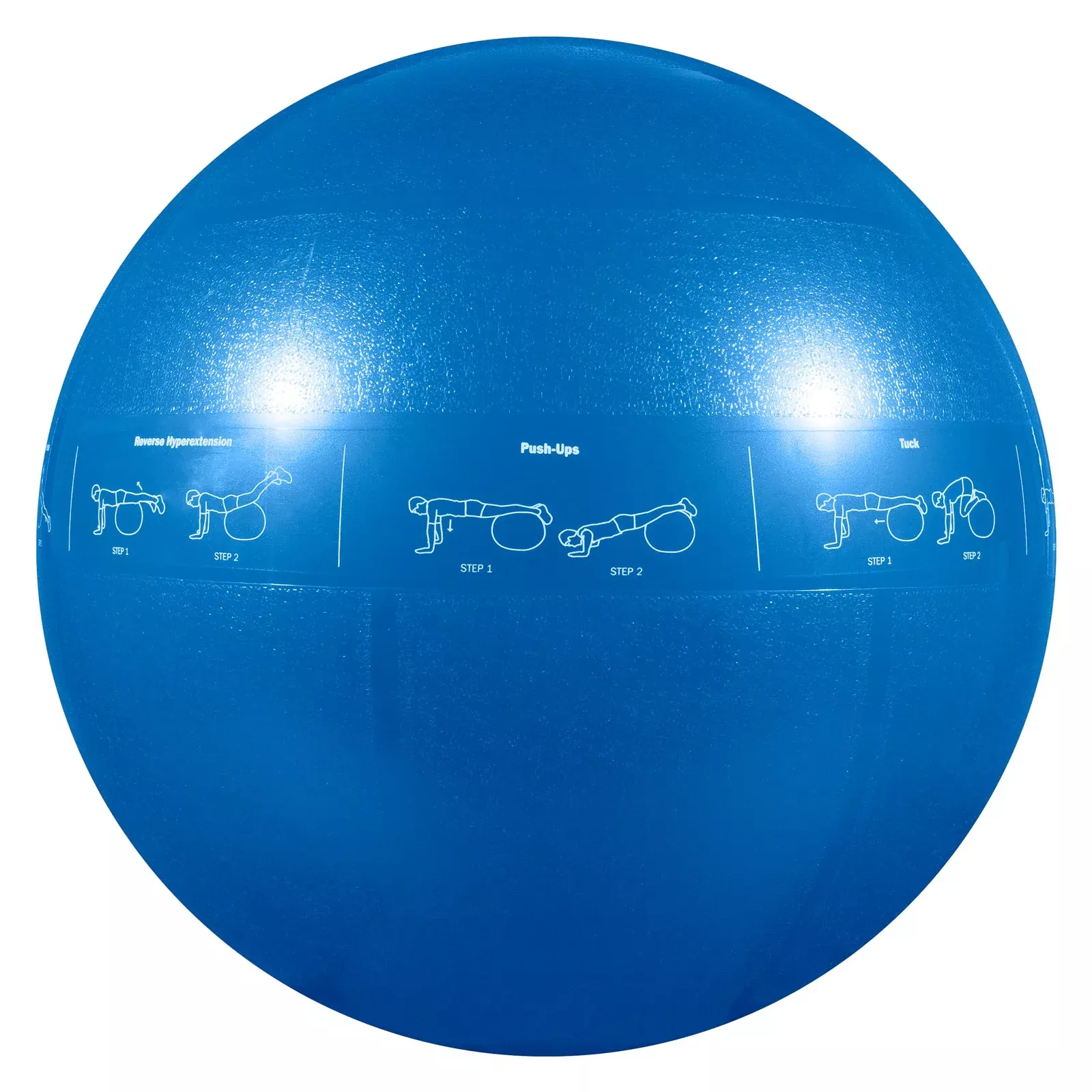 GoFit - Guide Ball - Pro Grade Stability Ball