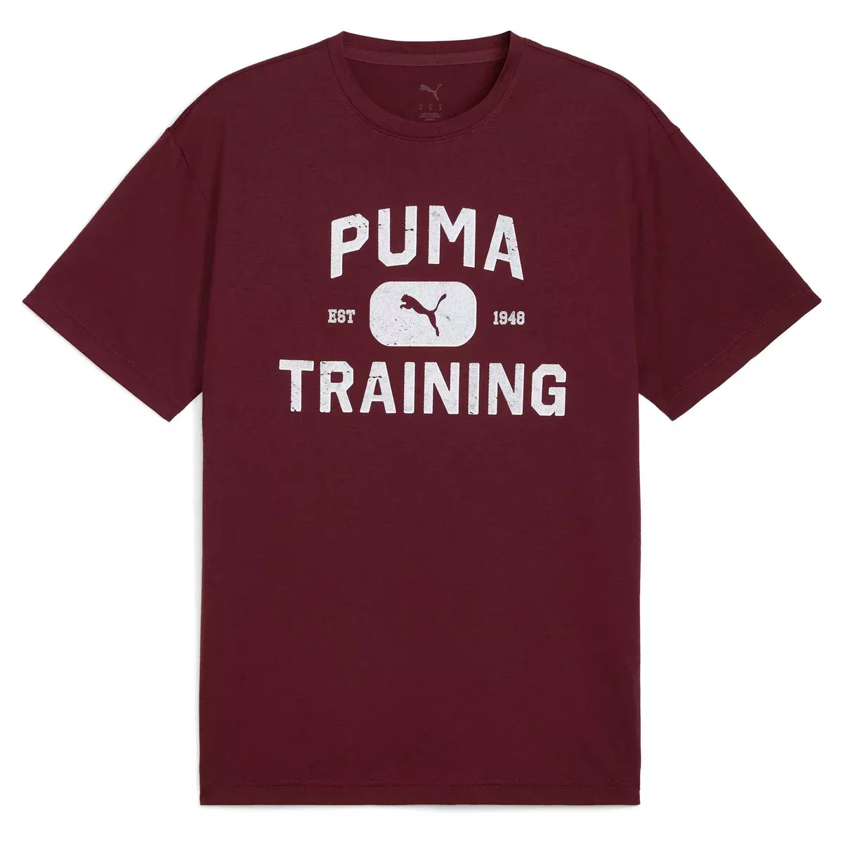 PumaMen's Graphics Train Logo Relaxed Tee
