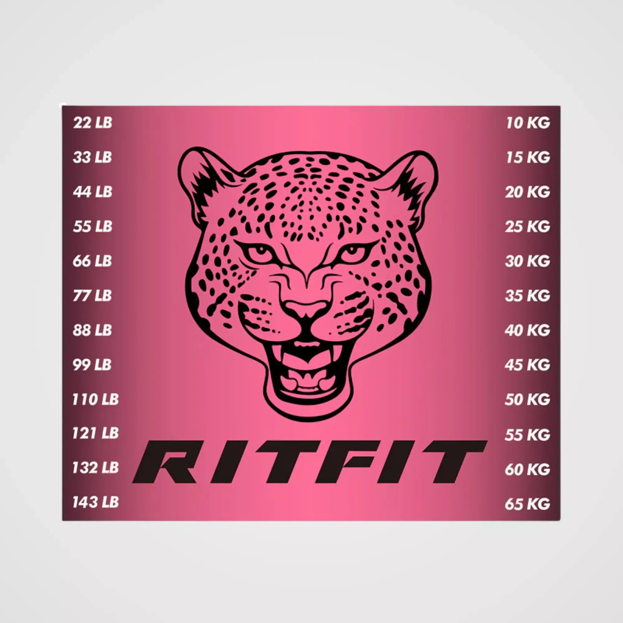 ZoomRitFit M1 PRO / M2 PRO Weight Stack Stickers